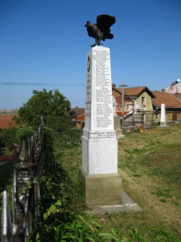 Obrázek