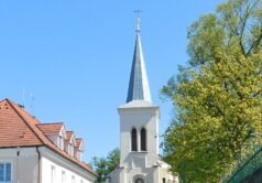 Obrázek