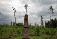 Obrázek