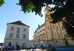 Obrázek