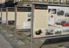 Obrázek