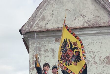 Obrázek